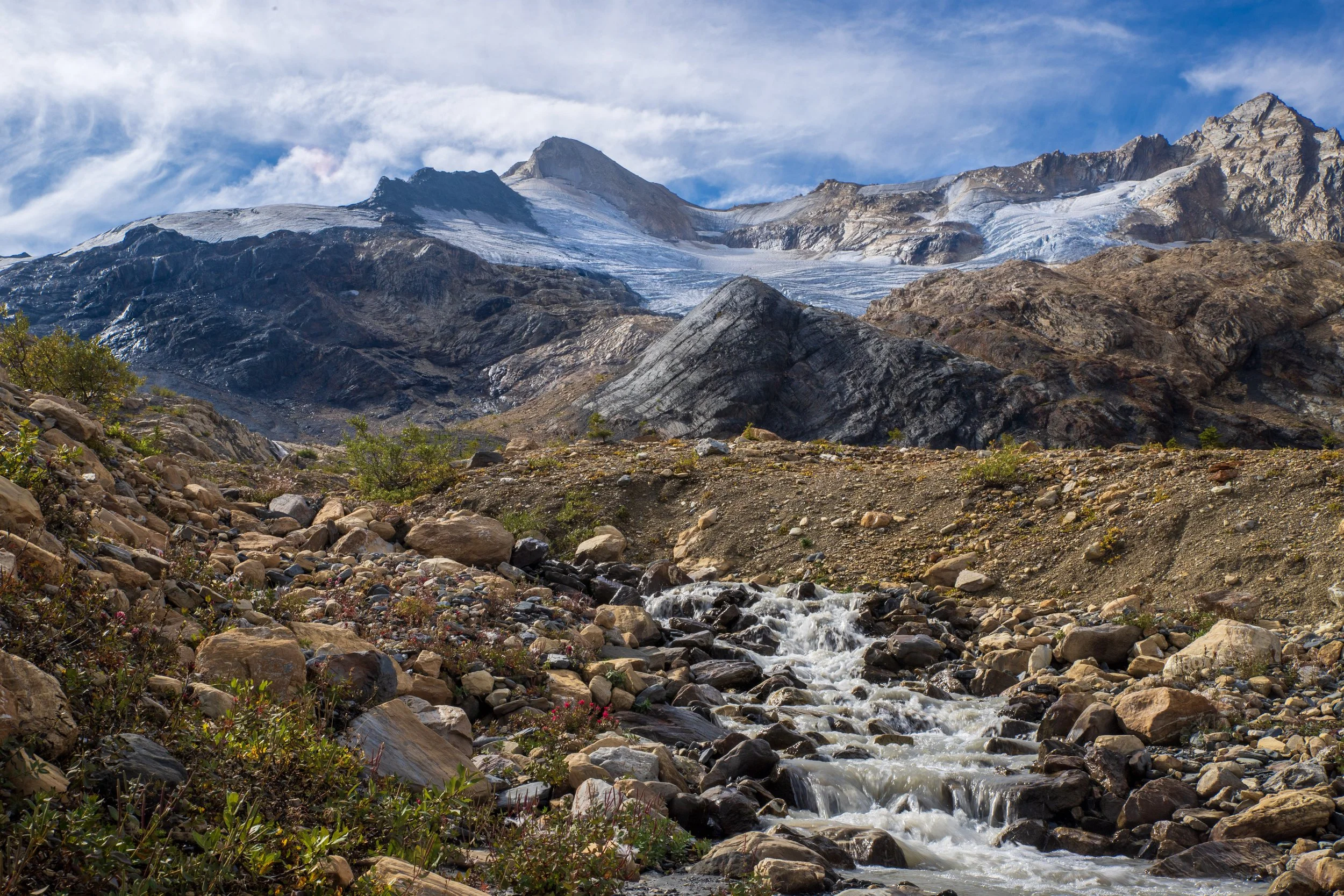 I Want to Show You Something