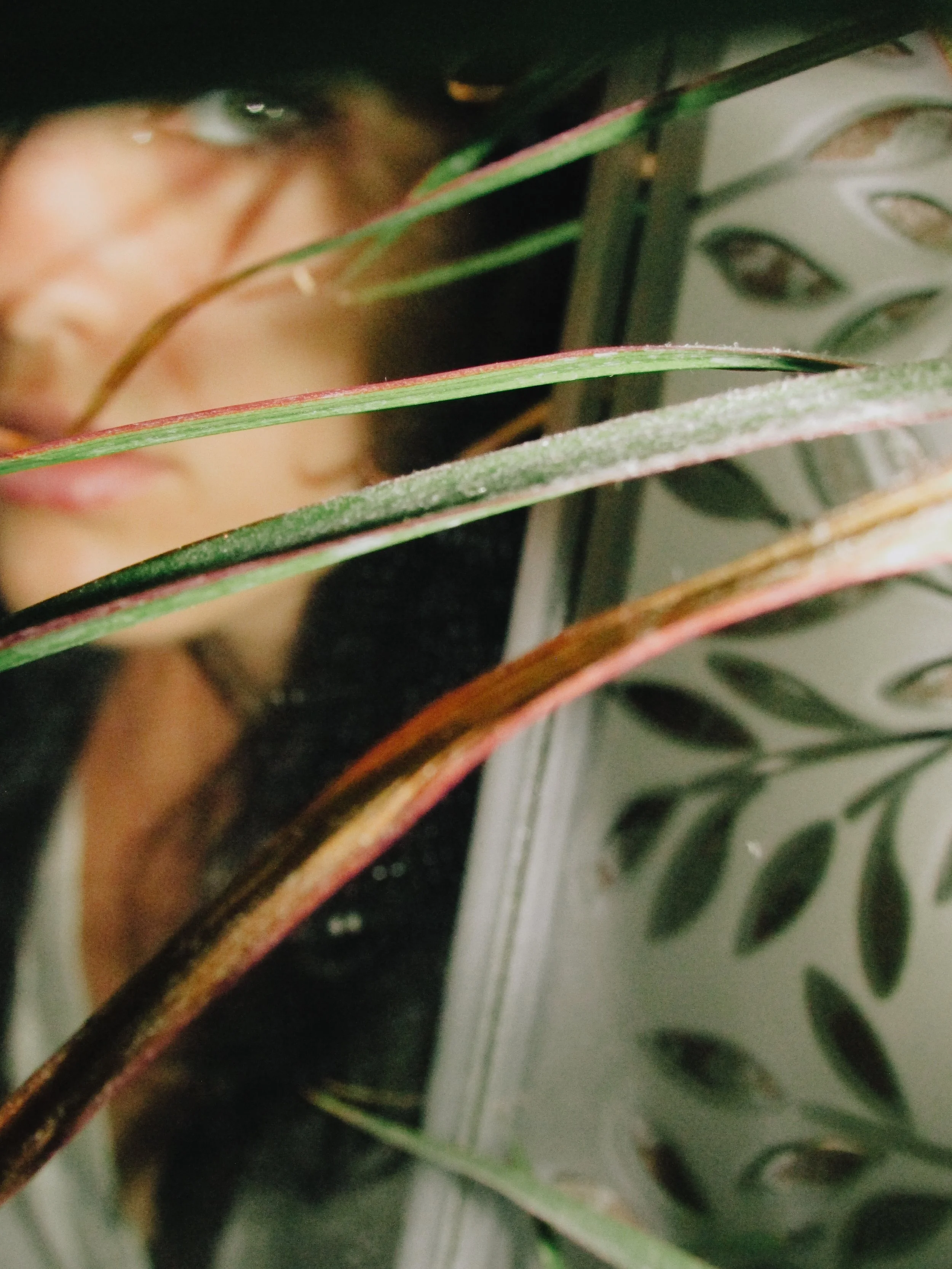 Jul 10 Self Portraits -lavender head-06.jpg