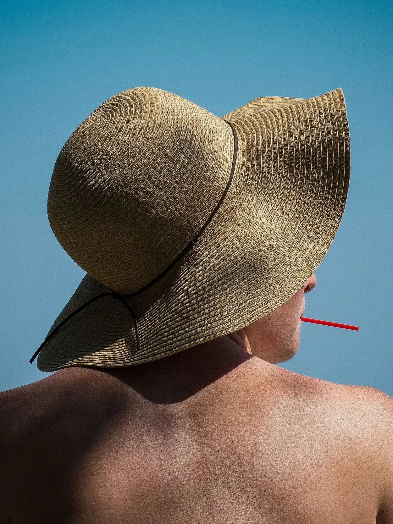 A Lifetime in the Sun