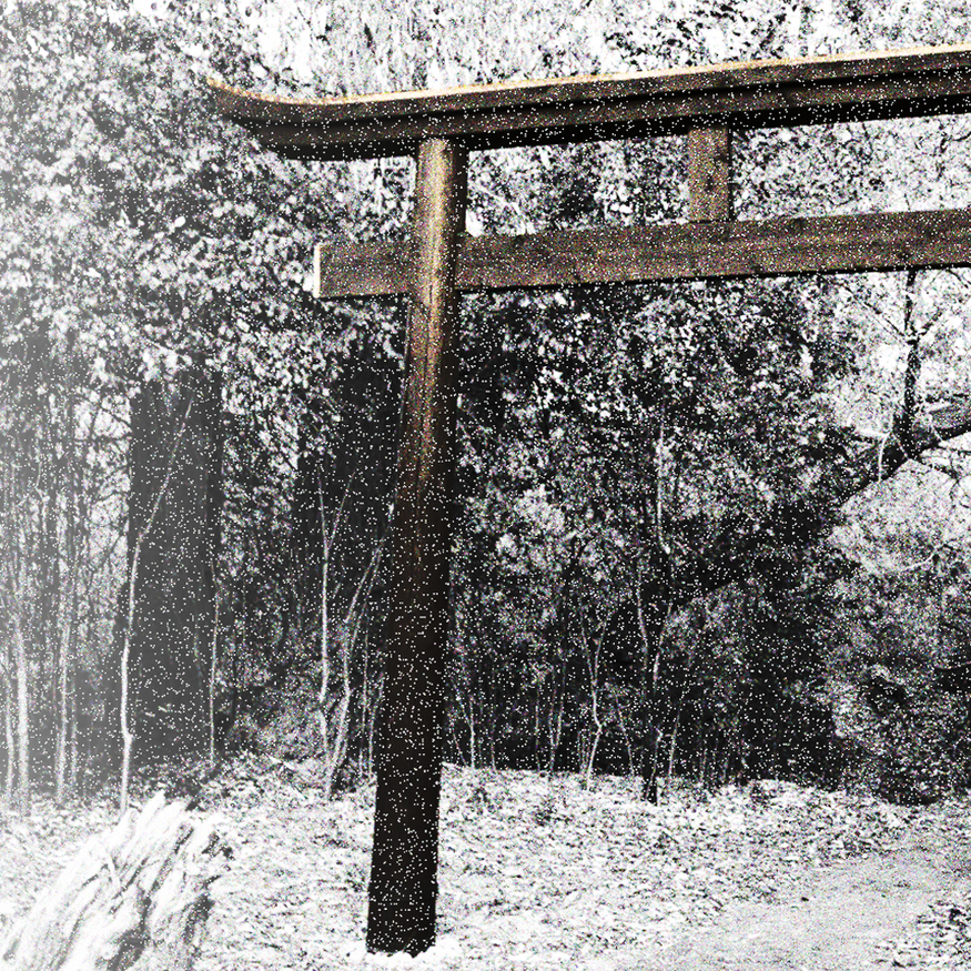 OSC-Forest-Gate_Suspension_banner.png