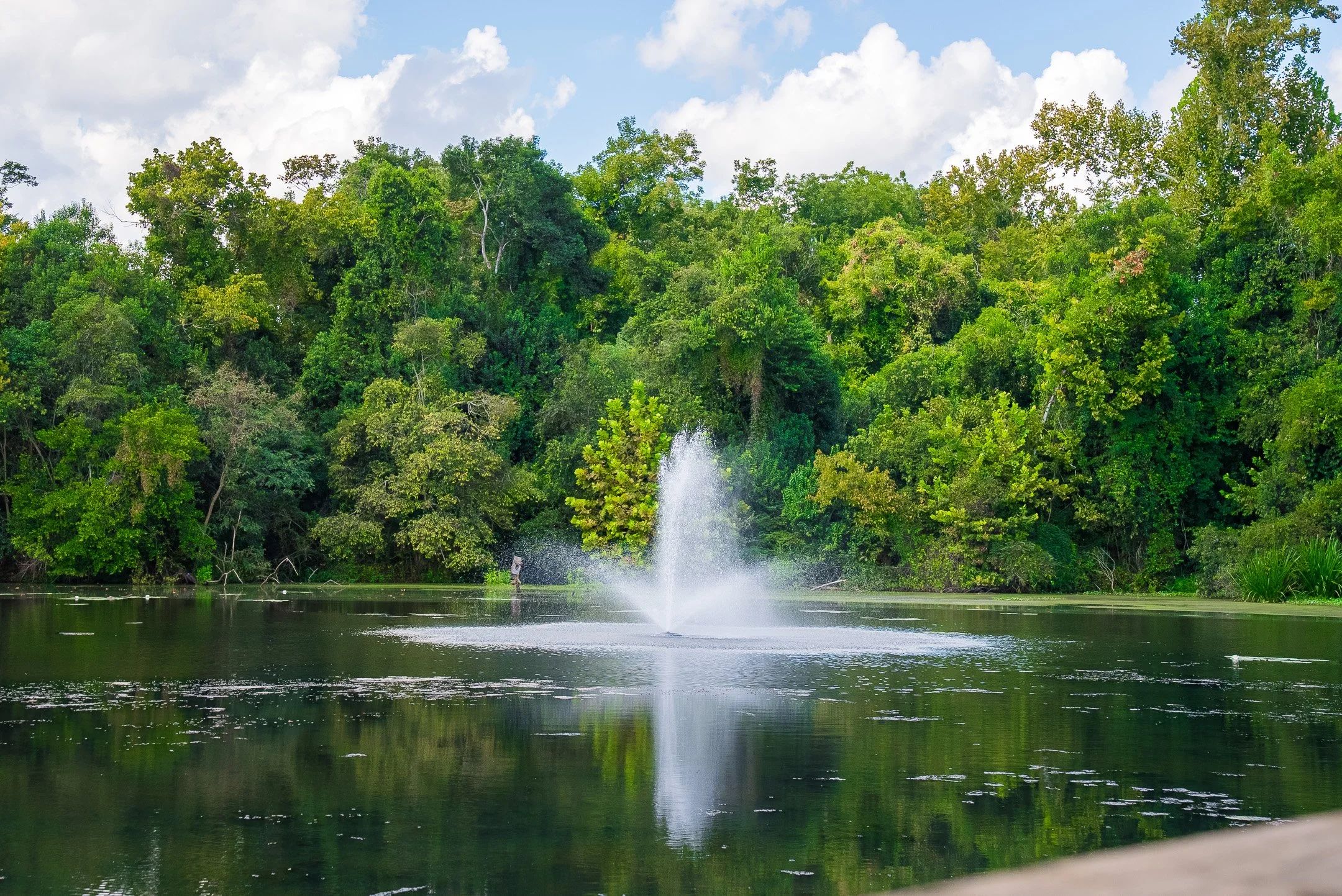 ©MeghannPadgett_229RivernorthDr_amenities-05.jpg