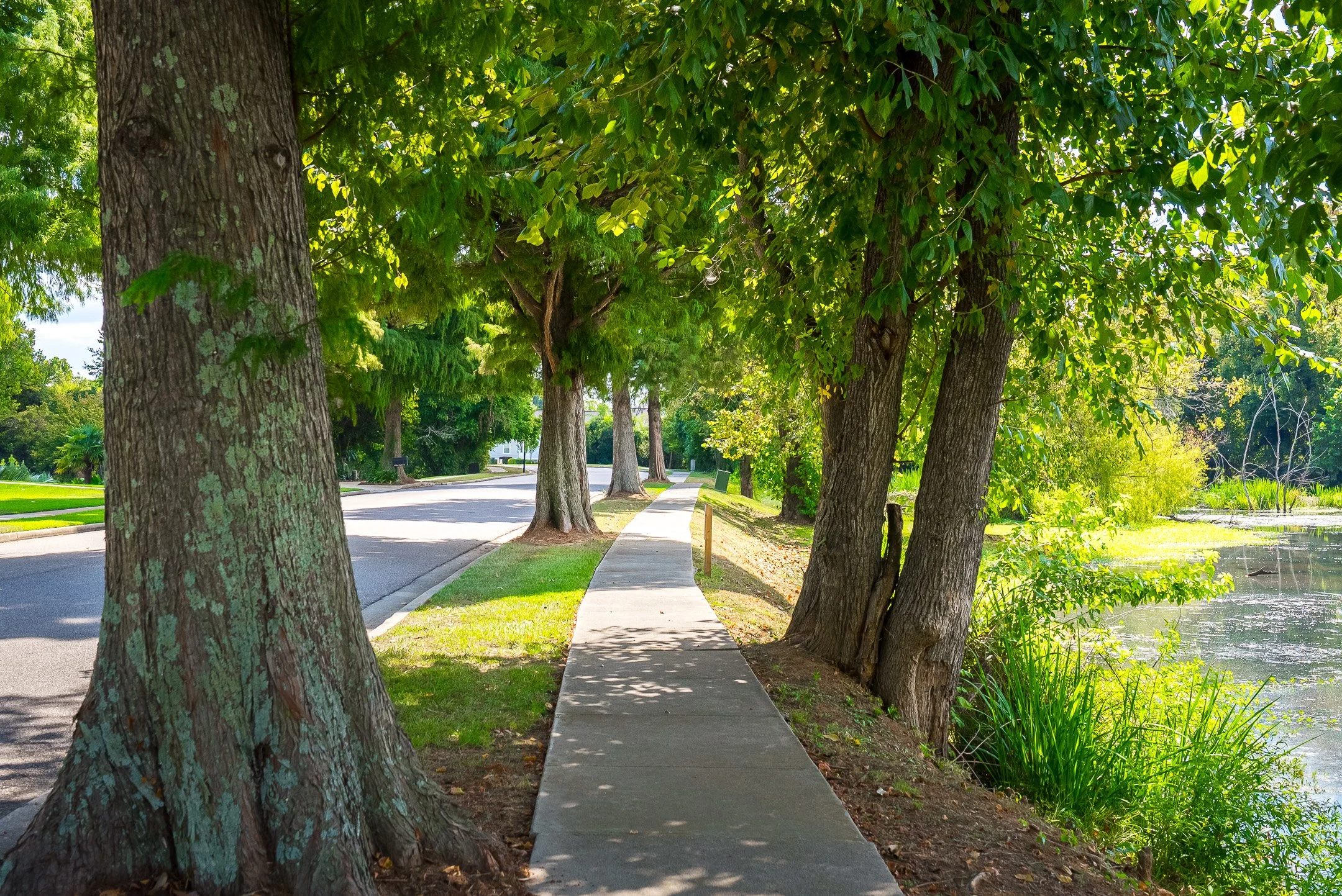 ©MeghannPadgett_229RivernorthDr_amenities-07.jpg