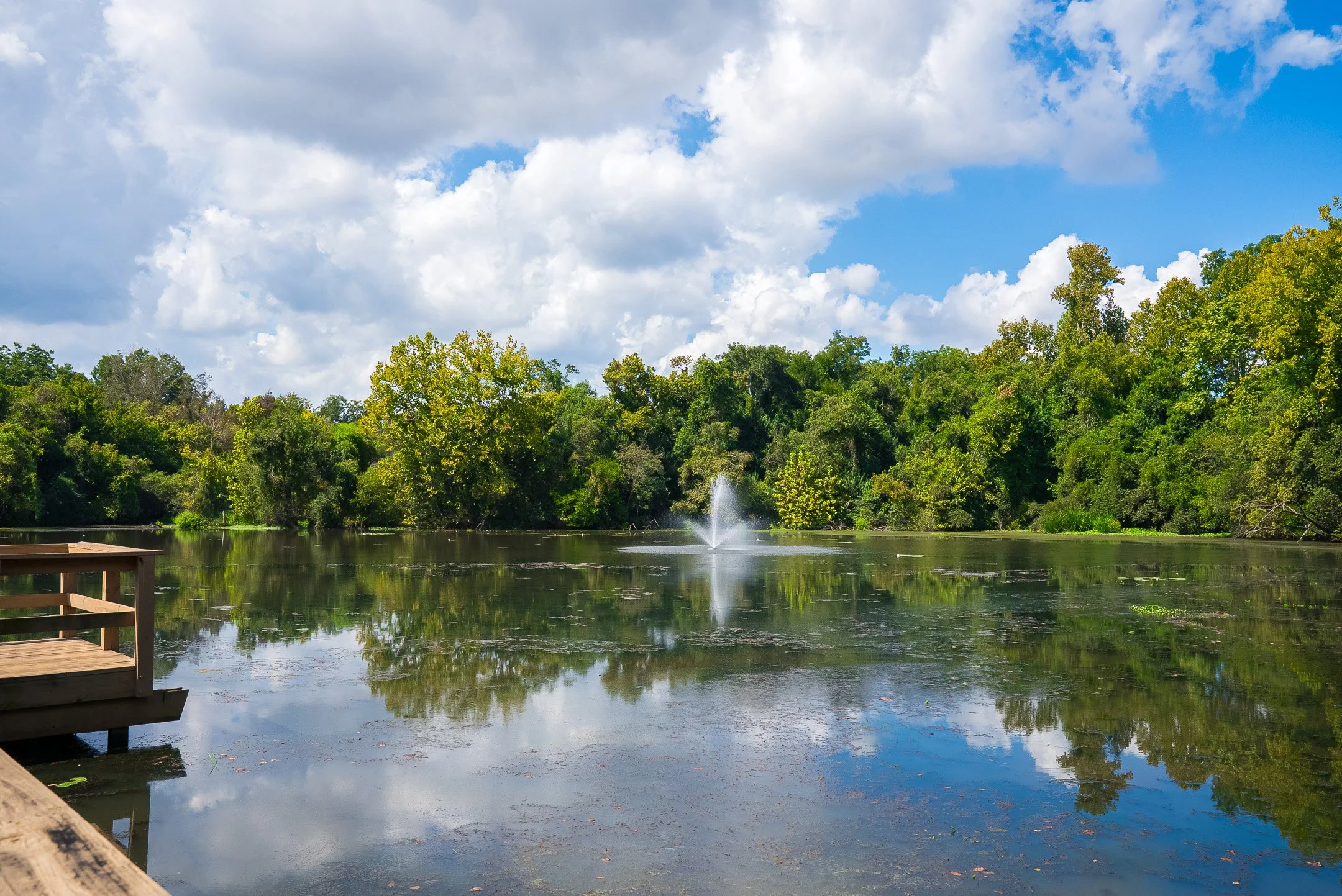 ©MeghannPadgett_229RivernorthDr_amenities-04.jpg