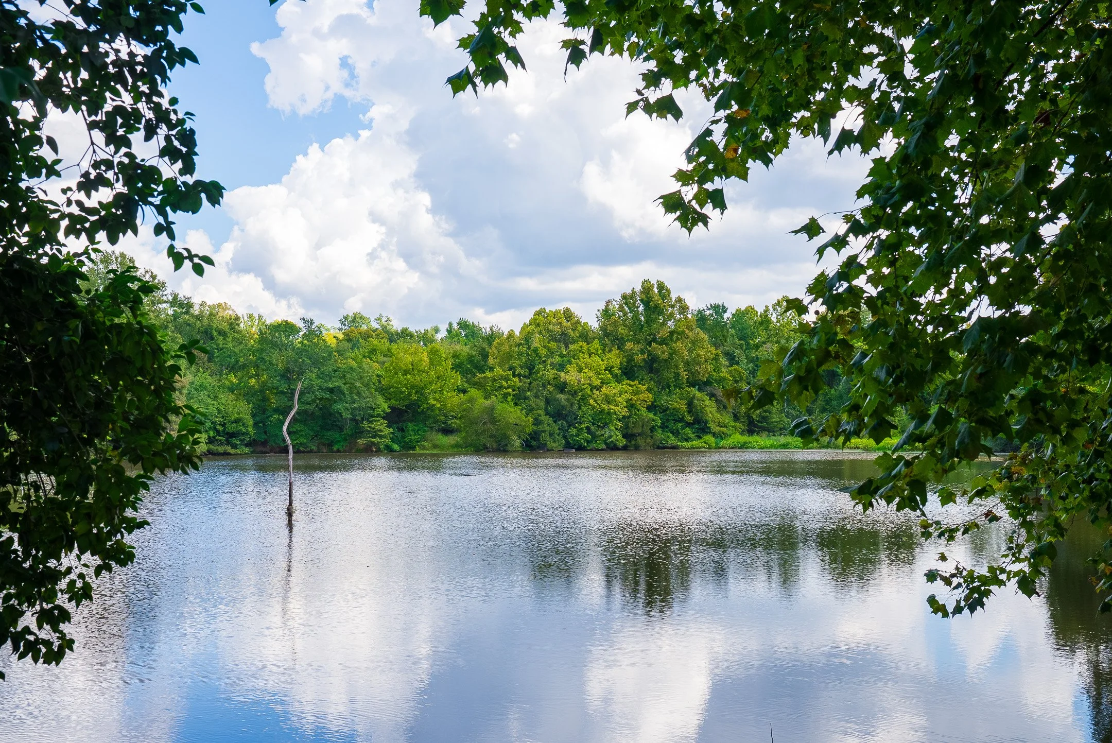 ©MeghannPadgett_229RivernorthDr_amenities-06.jpg