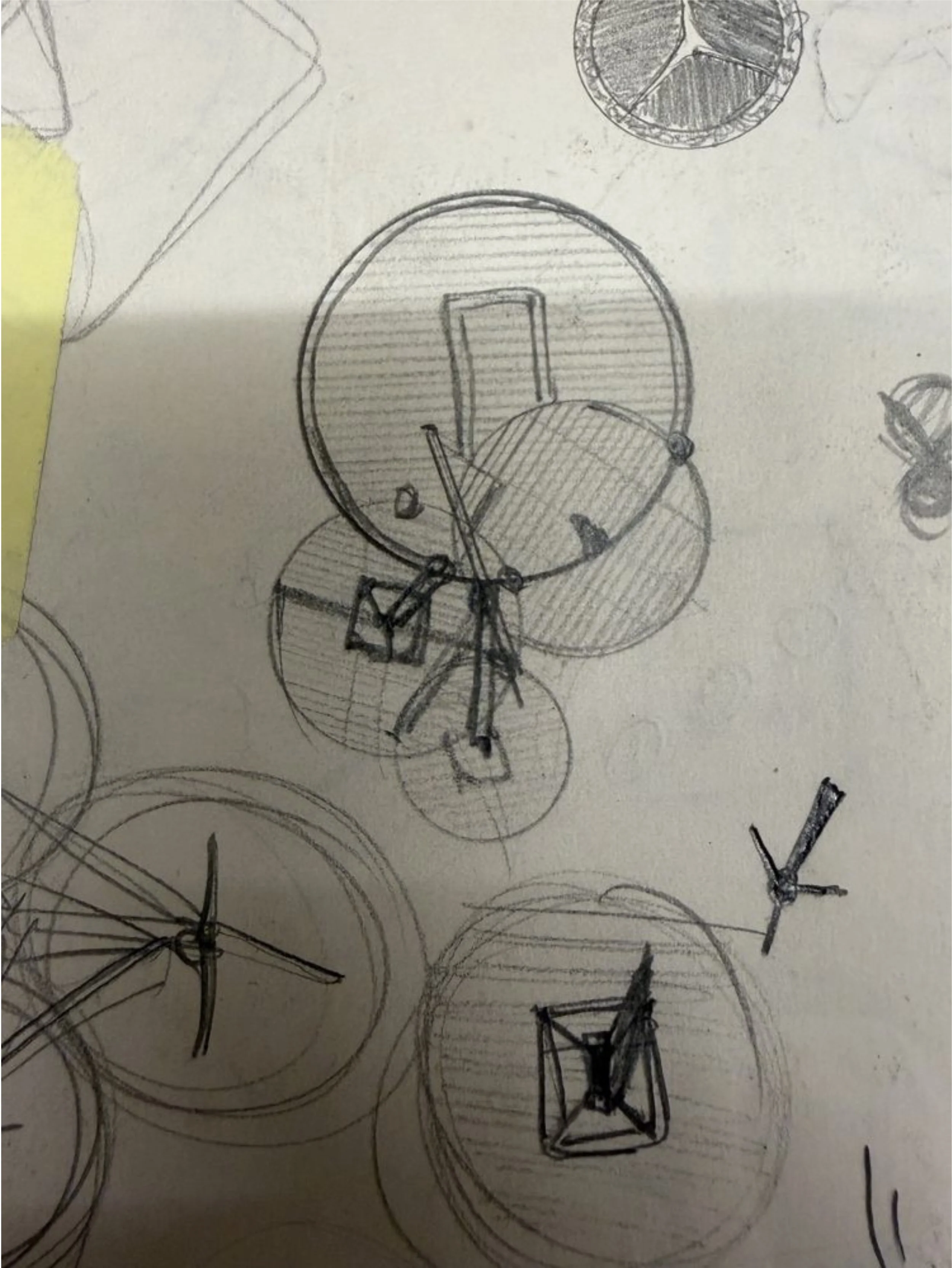 Sketch - AmyRoper Lyons (1).jpg