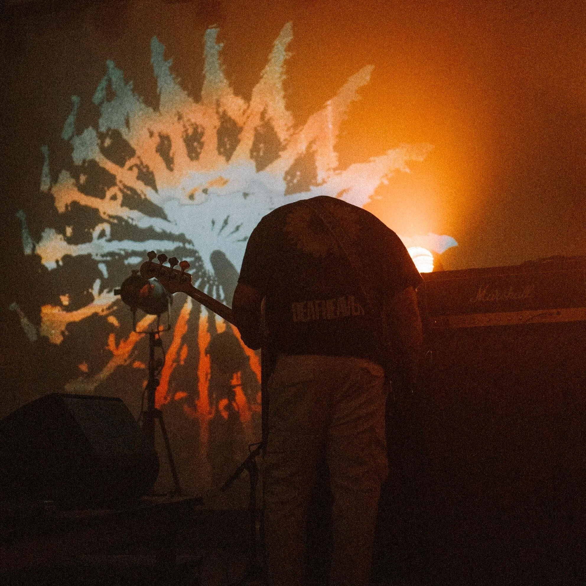 Divided Live - A person is playing guitar on stage with their back to the camera, silhouetted against a large, abstract, colorful projection on the wall, creating a striking visual effect.