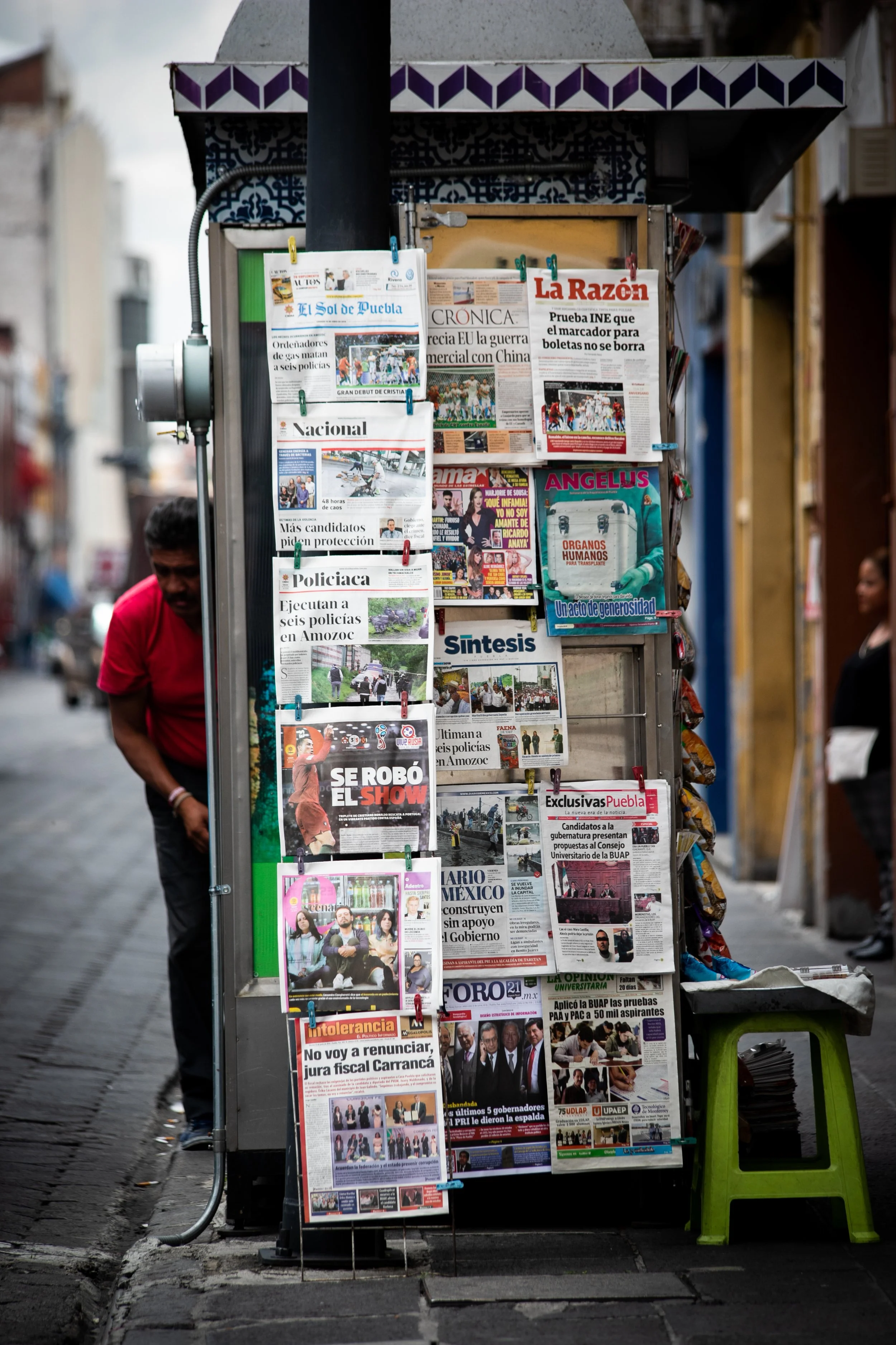 Gata i Mexico City.jpg