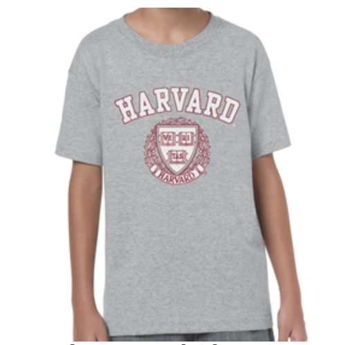 Youth Gray Harvard Glow T-shirt