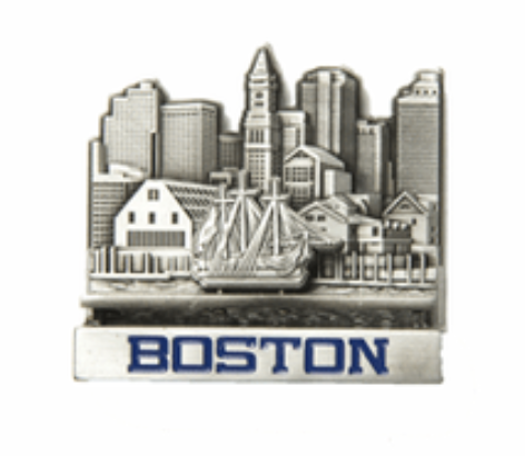 Moving Constitution Magnet