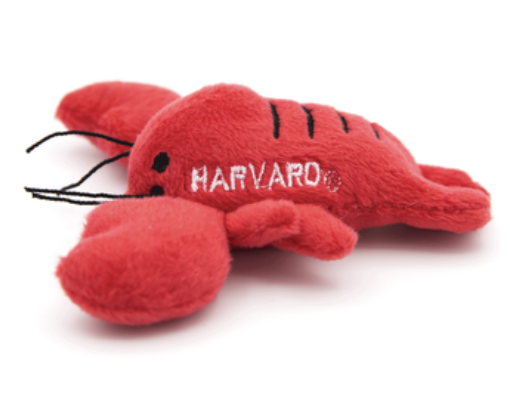 Harvard Plush Magnet