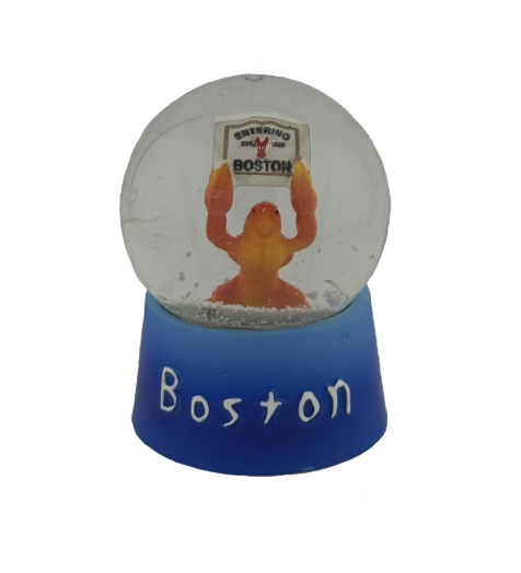 Snow Globe Entering Boston