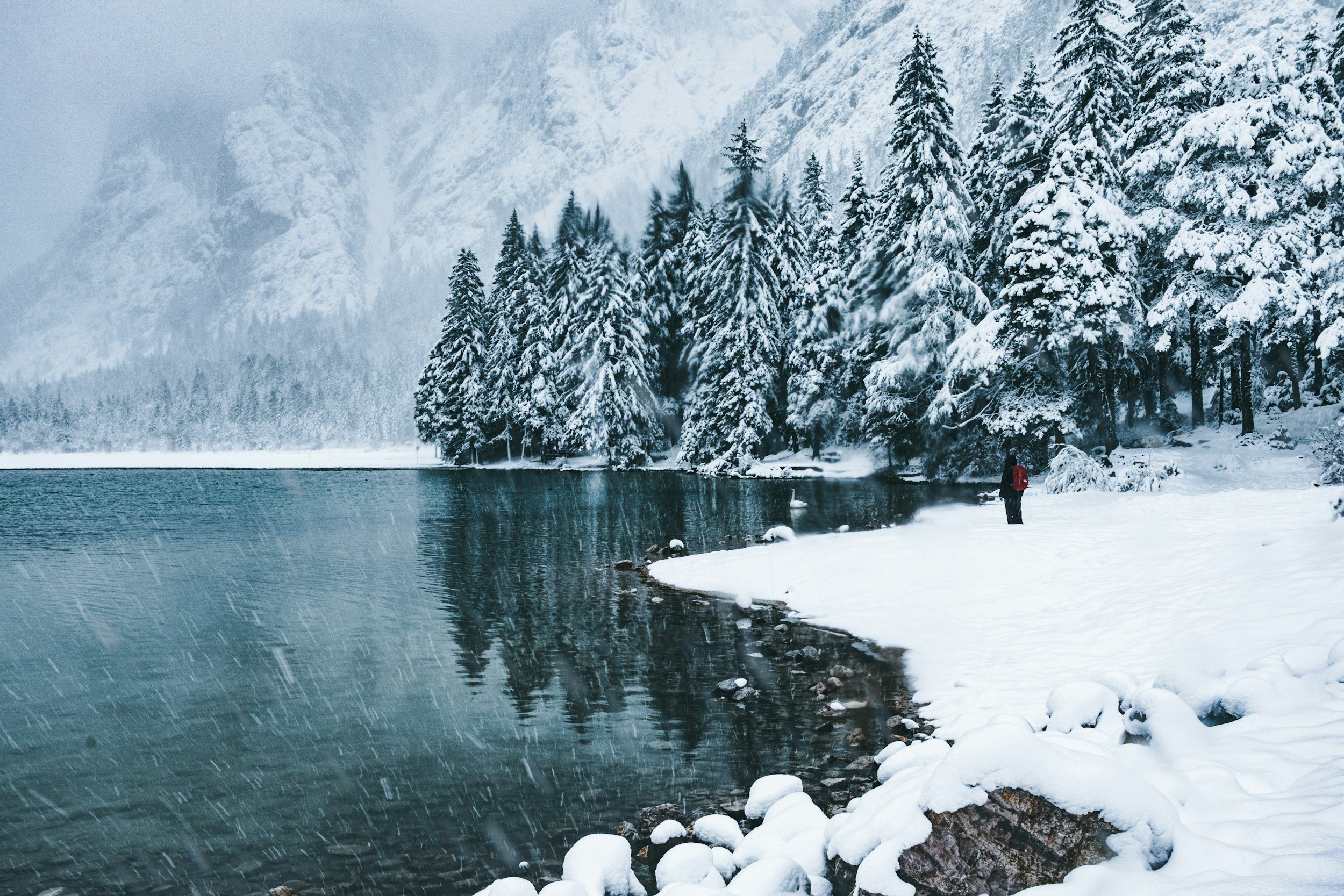While You’re Thinking About Summer, I’m Planning Winter