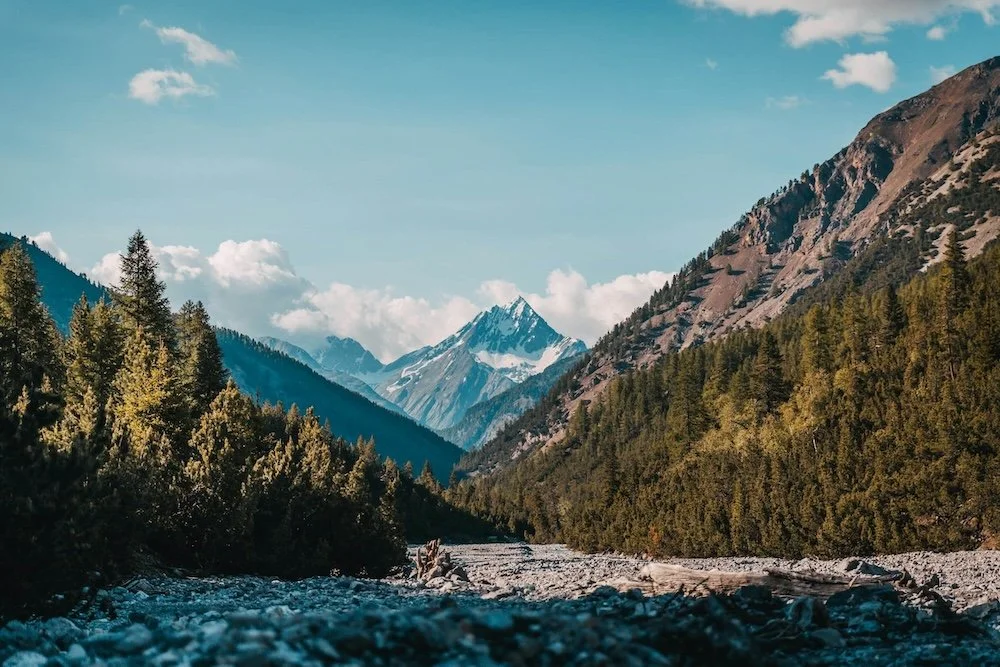Scenic view of swiss alps from a rocky riverbed, surrounded by dense green trees, and snow-capped peaks in the background under a partly cloudy sky.