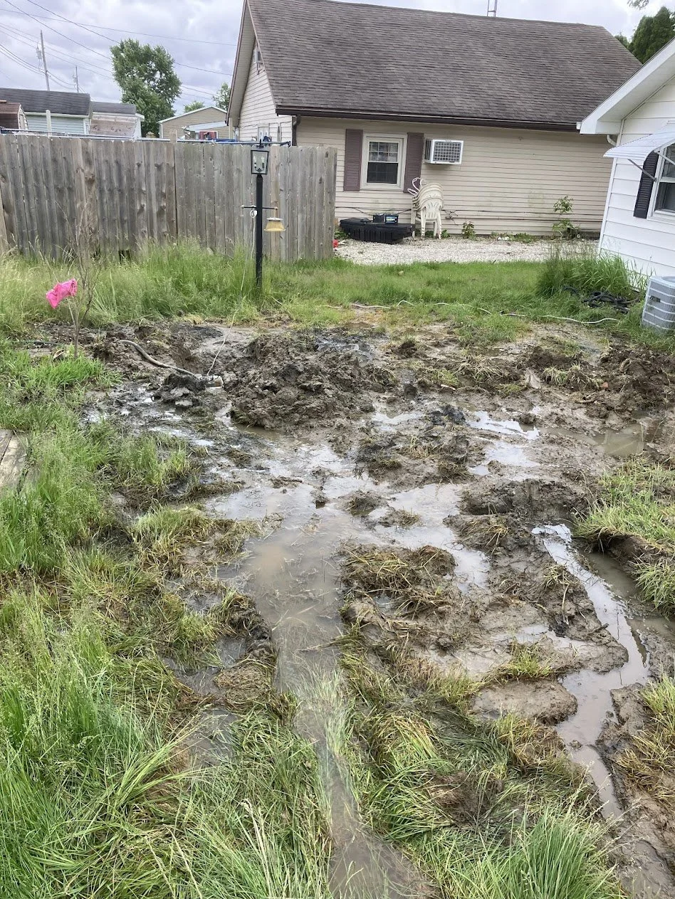 A muddy backyard with waterlogged ground and patches of grass, near a wooden fence and houses in the background. There is a fence-mounted bird feeder and a hose on the ground.