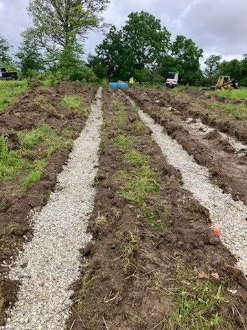 A garden or farm area with four parallel planting beds, separated by gravel pathways. In the background, there are trees, a blue tarp, and some vehicles and equipment.