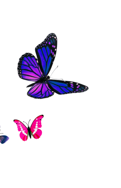 A large blue and purple butterfly with black and white markings, and a smaller pink butterfly with white spots, both perched on a reflective surface.