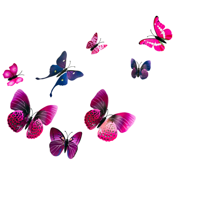 Several colorful butterflies with pink, purple, and blue wings flying against a black background.