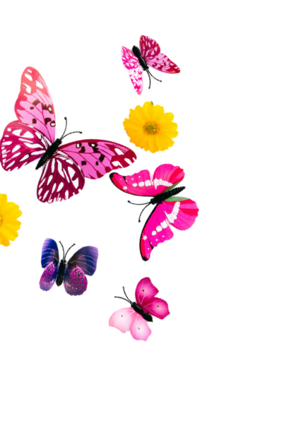 Colorful butterflies and yellow flowers on a black background.