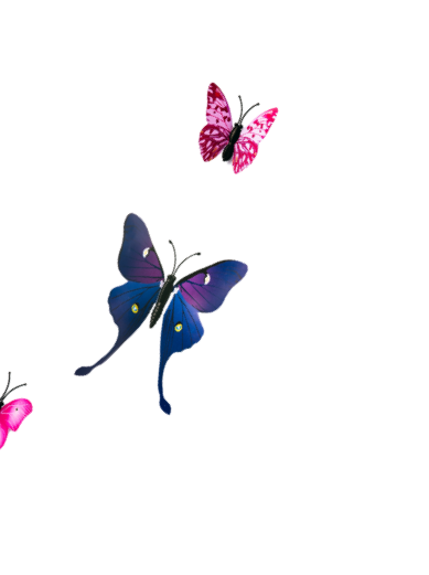 Three colorful butterflies, pink, purple, and blue, flying against a black background.