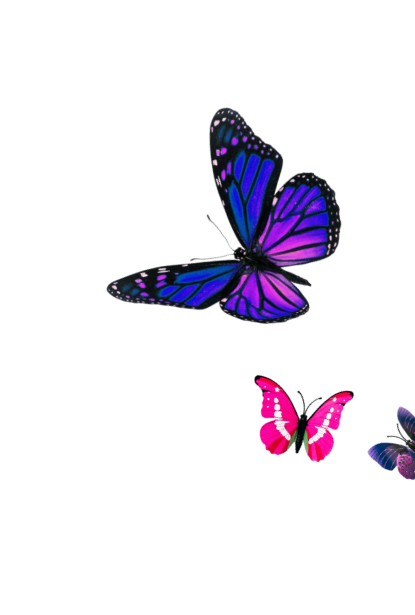 Illustration of four colorful butterflies, including a large purple and blue butterfly, a smaller pink butterfly, and two other smaller butterflies with vibrant colors.