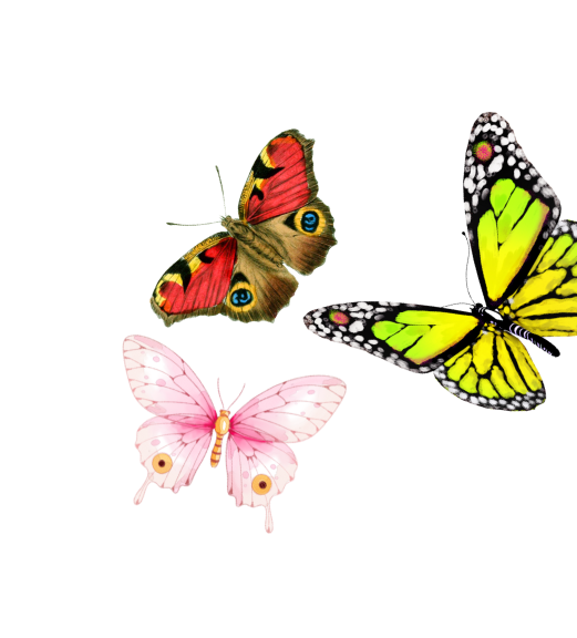 Three colorful butterflies in flight, one red and brown with eye spots, yellow and black, and pink with eye spots.