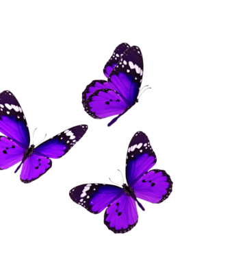 Three purple and black butterflies flying over colorful layered blocks.