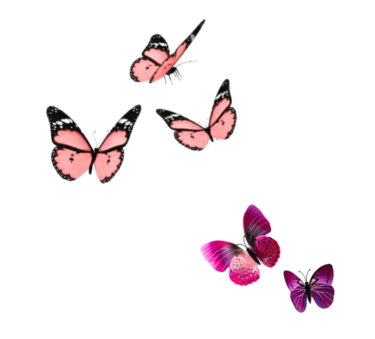 Illustration of pink and purple butterflies flying with wings spread open.