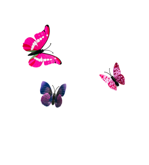 Three colorful butterflies perched on a digital.