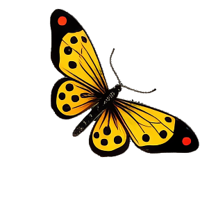 Yellow and black butterfly with red spots on its wings.