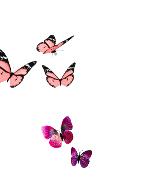 Pink and purple butterflies flying around a pink vertical rectangular object against a black background.