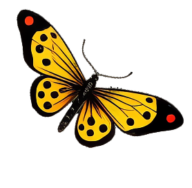 Yellow and black butterfly with red spots on wings.