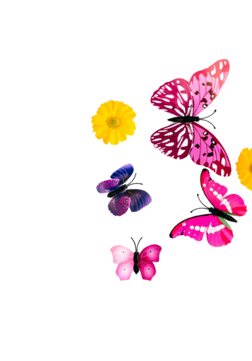 Colorful butterflies and yellow flowers reflected on a black background.