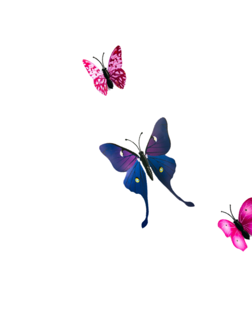 Three colorful butterflies on a plain black background, one pink, one blue, and one pink with black details.