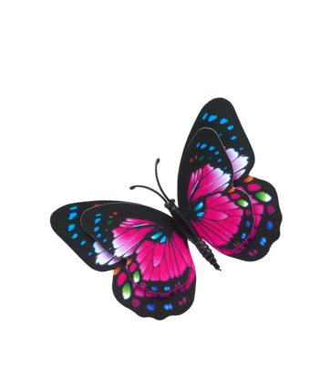 Colorful butterfly with black, pink, blue, purple, and green wings.