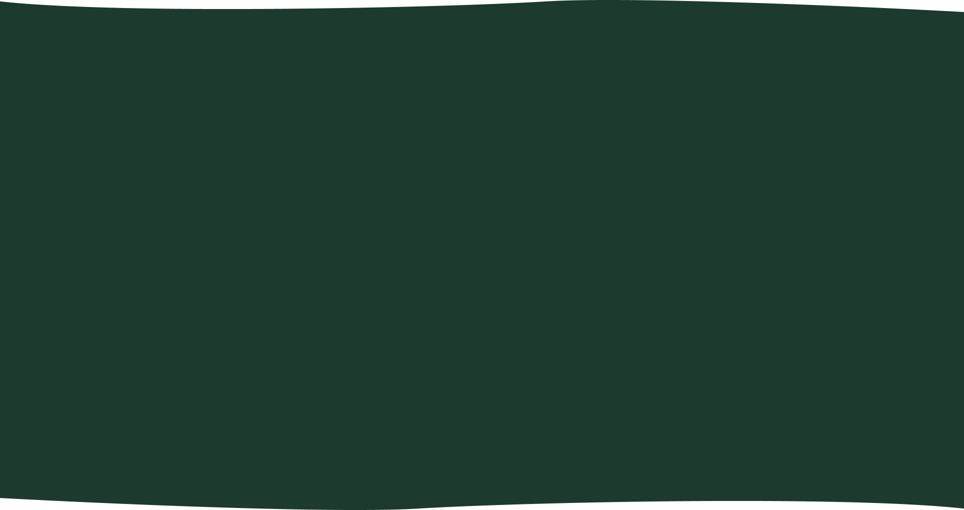 A close-up image of an onion seedling growing in soil inside a greenhouse.