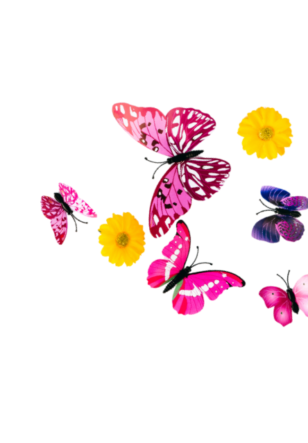 Various colorful butterflies and yellow flowers.