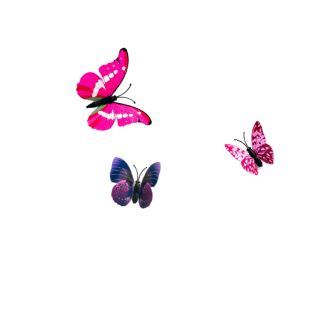 Four colorful butterflies in pink, purple, and blue on a black background.