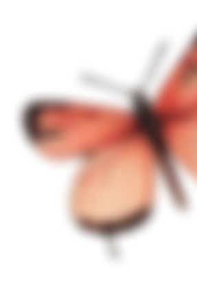 A person with long hair holding a leash, standing outdoors in a park or backyard.