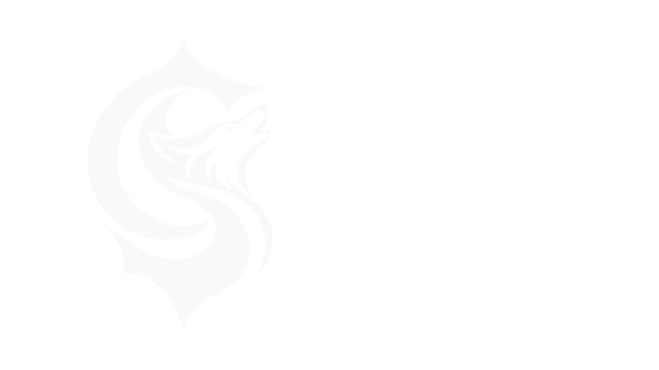 Cyburr Studio