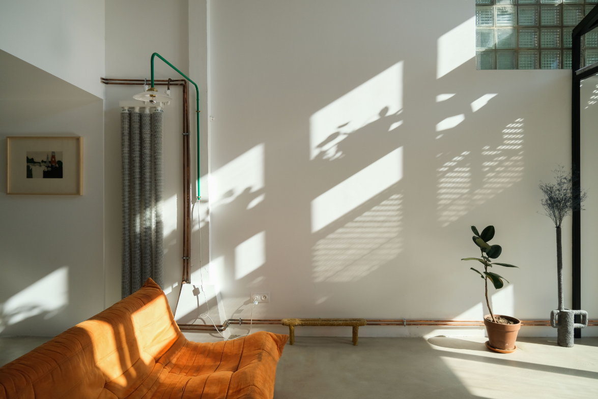 Intérieur moderne avec un mur blanc, un canapé orange, et des plantes en pot, baigné de lumière naturelle.