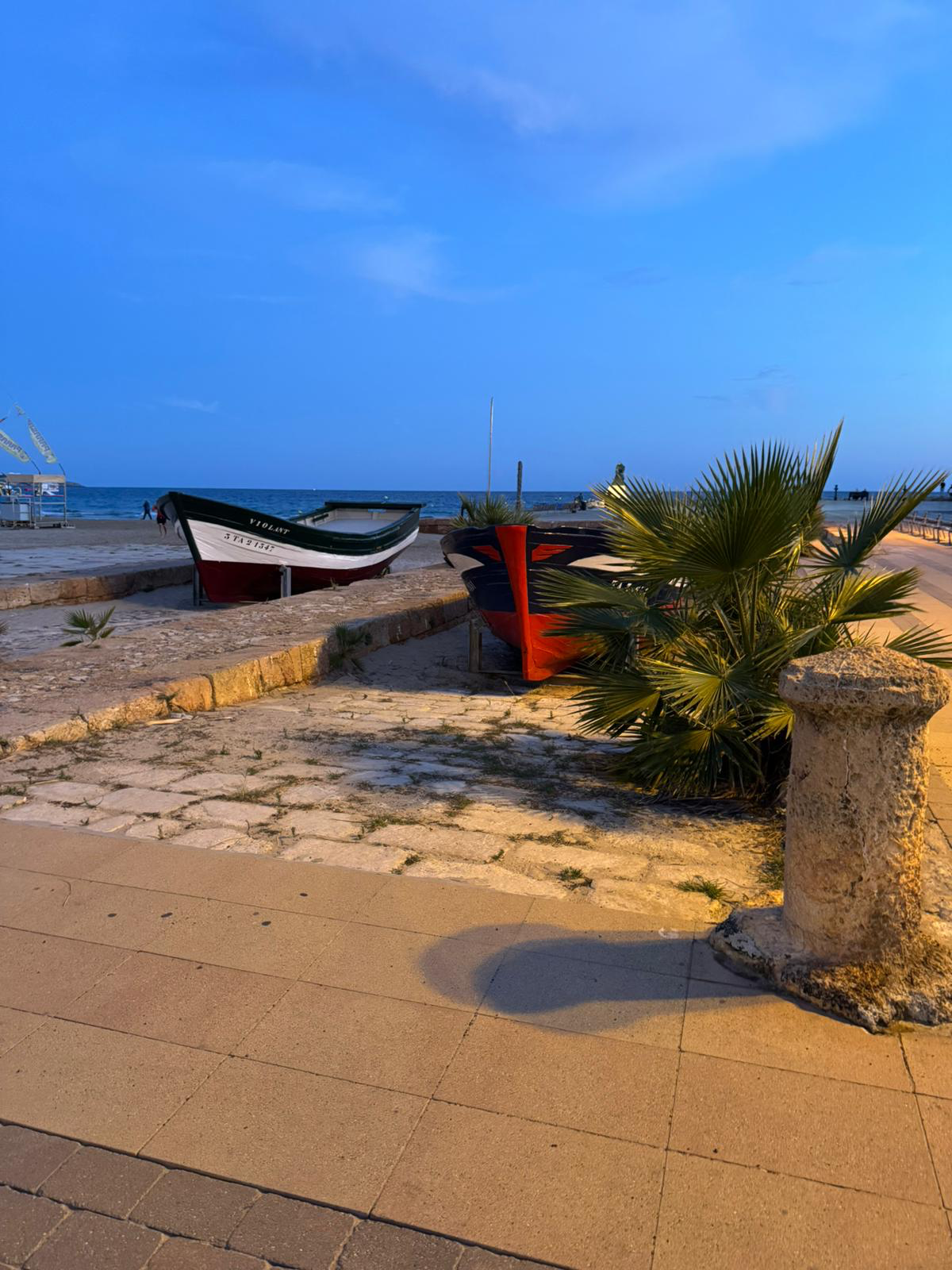 Two boats resting on a sandy beach with the ocean in the background during twilight, and a potted plant with large green leaves in the foreground. [Copyright - Photography by Tom]