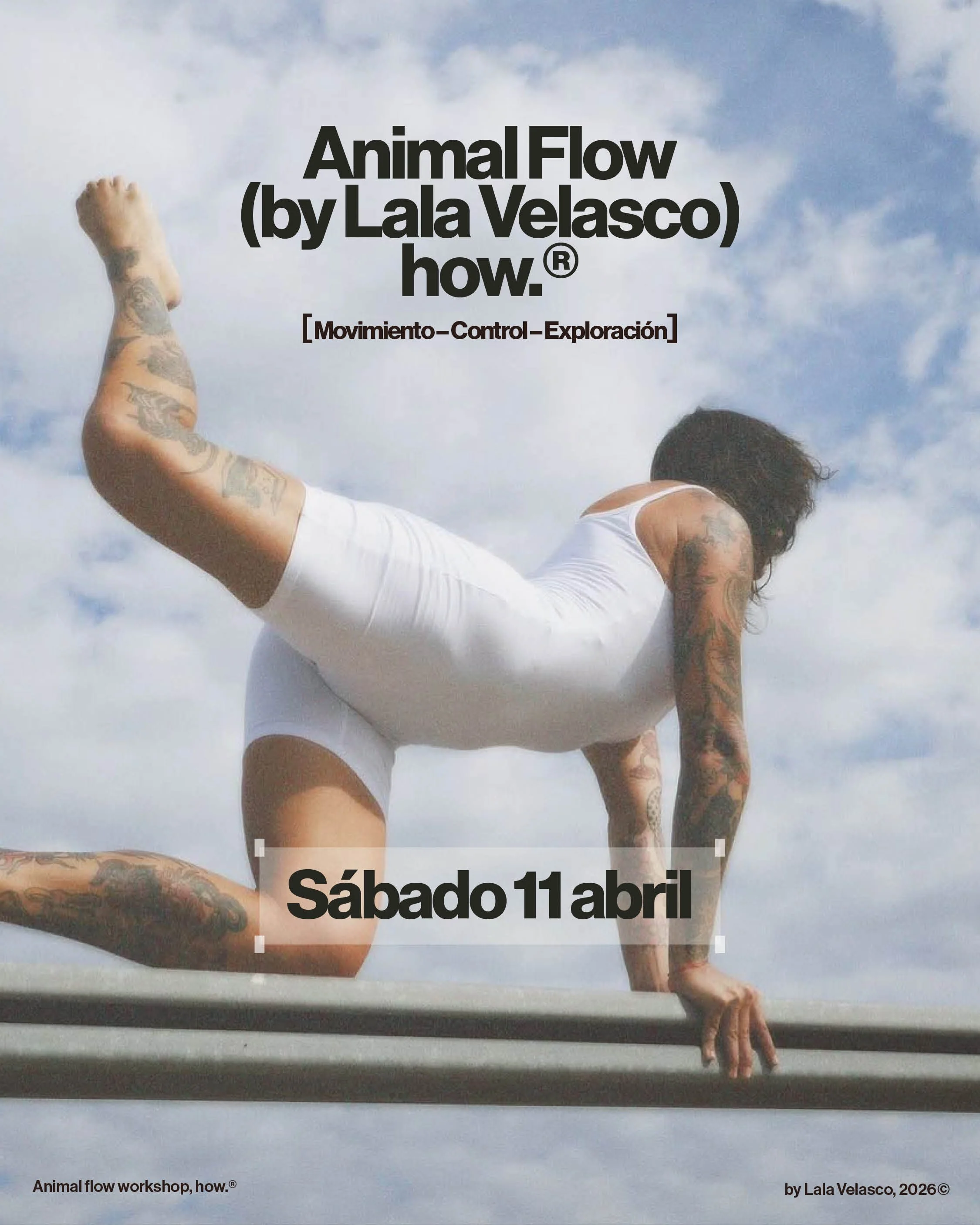Animal Flow by Lala Velasco