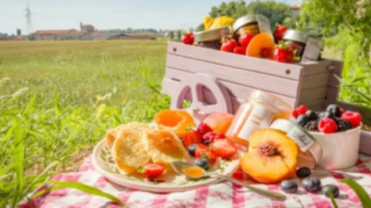 Join Us at Our Summer Picnic!