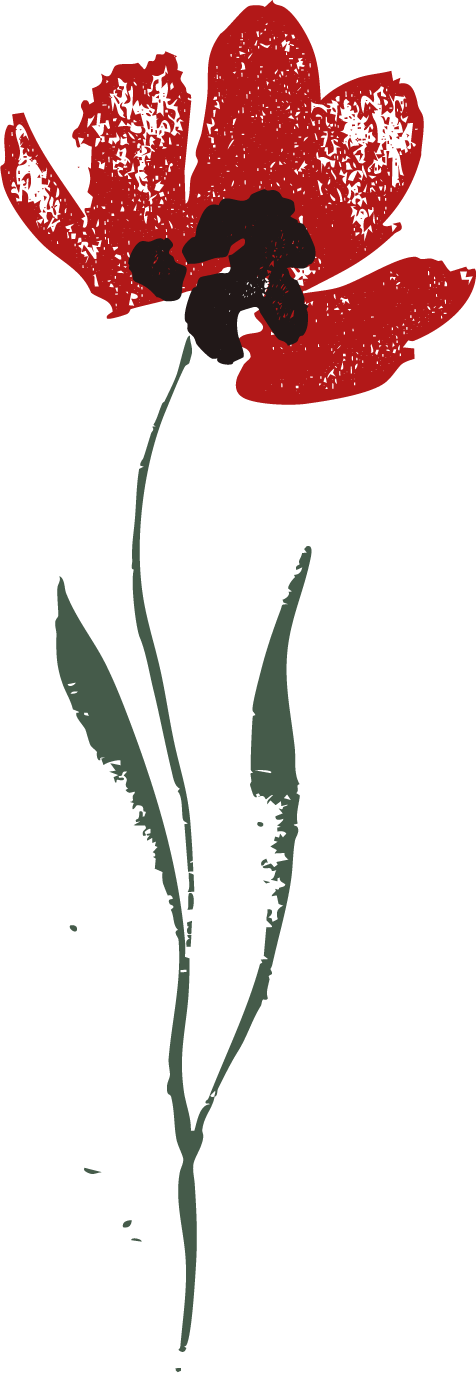 A stylized, artistic illustration of a red flower with black and green accents, featuring a single stem and leaves.
