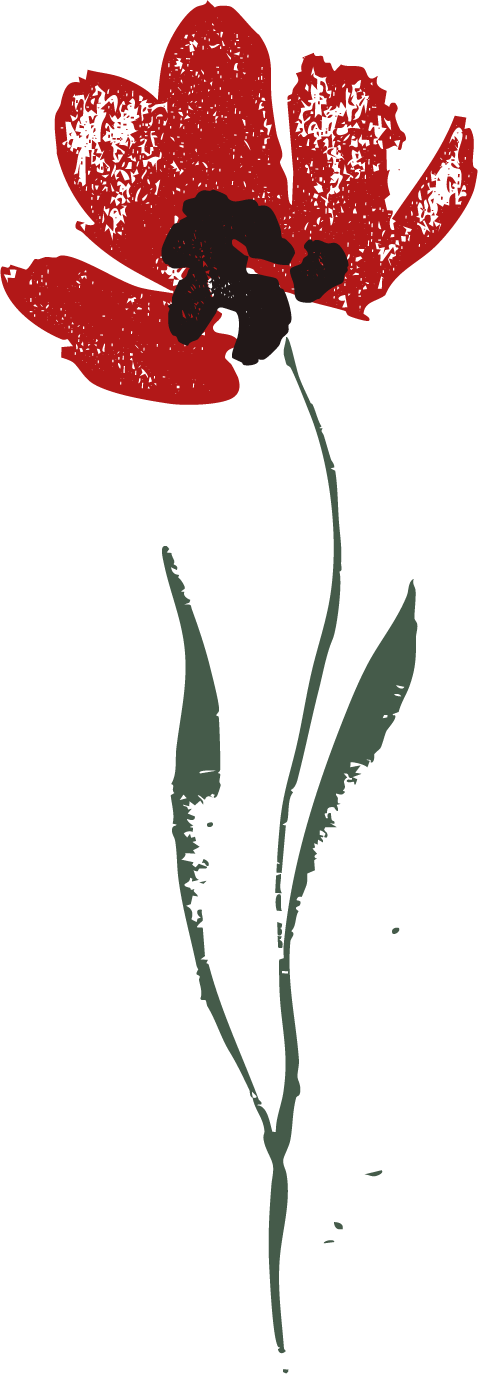 A stylized illustration of a red poppy flower with a dark center and green stem.