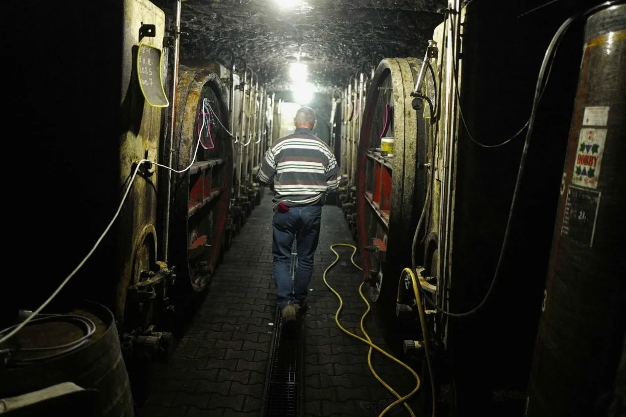 Portrait de producteur - Les Buvologues