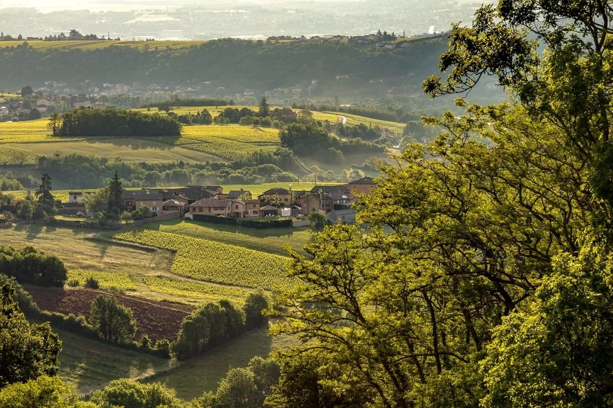 Dégustation Stuart Pigott - BEAUJOLAIS-VILLAGES : Je ne suis pas un numéro, je suis un vrai vin !