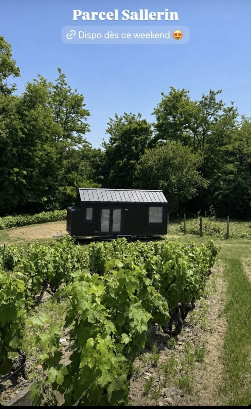 Au coeur des vignes, le pari des tiny houses 