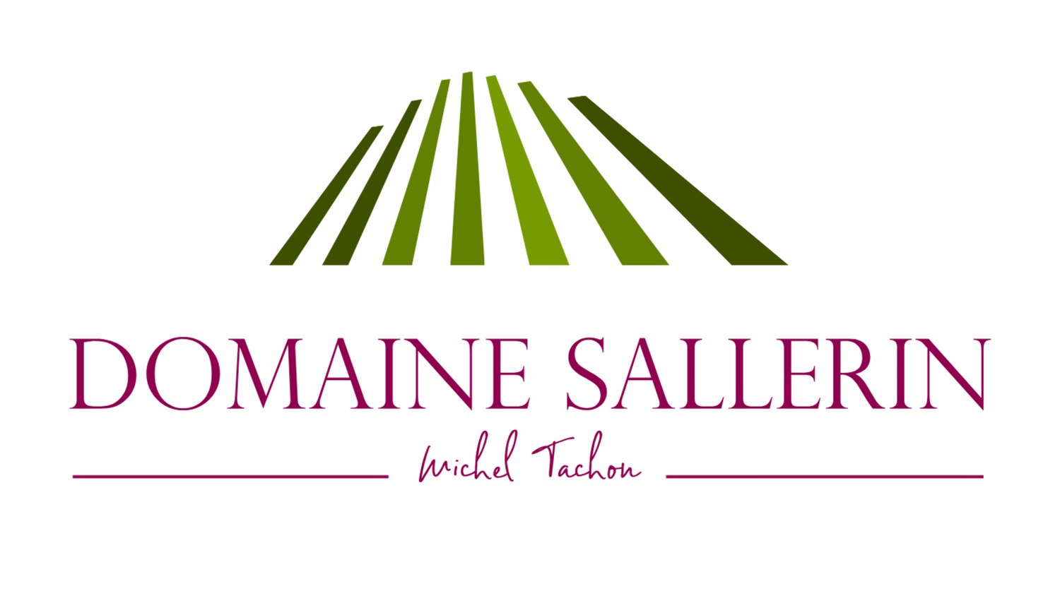 Domaine du Sallerin 