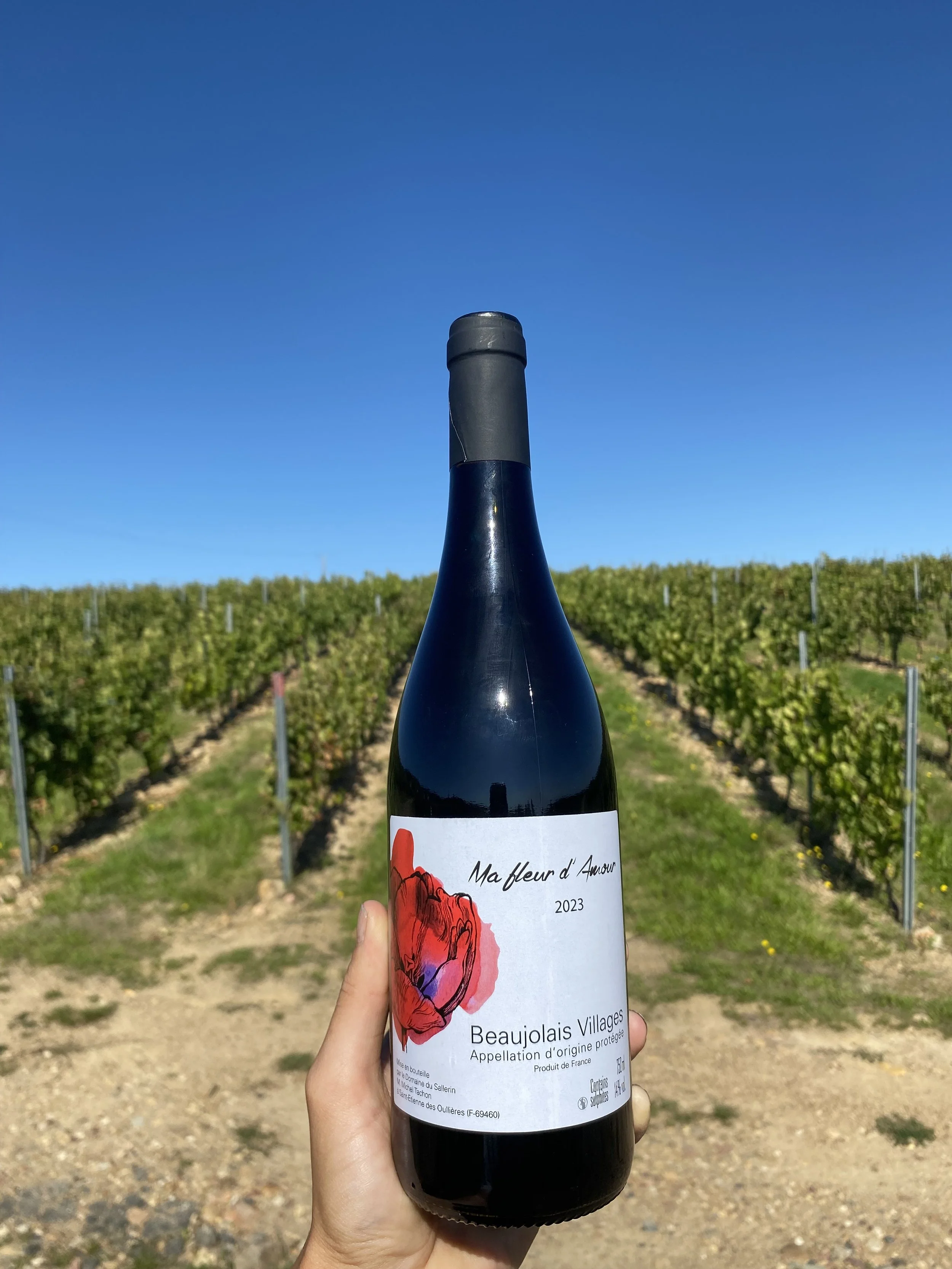 MA FLEUR DAMOUR 2023.jpg